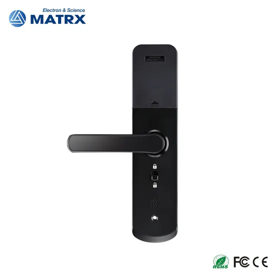Hot Selling Biometric Waterproof Home Main Gate Digital Door Tuya Lock