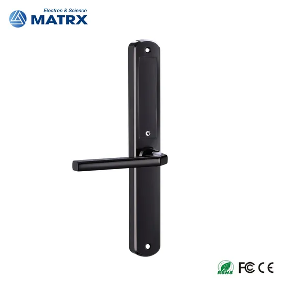 Waterproof Stainless Steel 304 Fingerprint Password Keyless Entry Tuya Samrt Lock