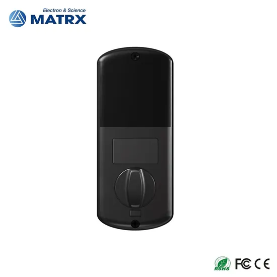 Ttlock APP Remote Control Biometric Fingerprint Password Smart Door Lock