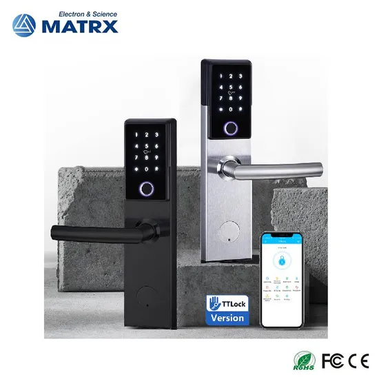 Fingerprint Ttlock Electronic Digital Lock