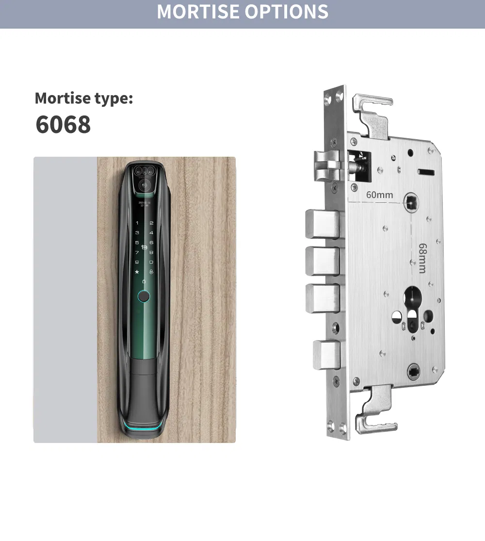 High Security Intelligent Biometric Tuya WiFi 3D Face ID Lock