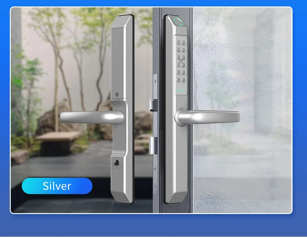 Glass Door and Wooden Door Pull Handle Electronic Security Lock Ttlock Smart Door Lock