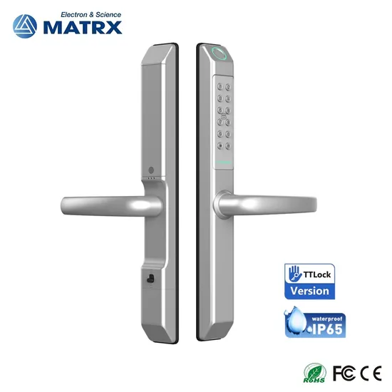 Glass Door and Wooden Door Pull Handle Electronic Security Lock Ttlock Smart Door Lock